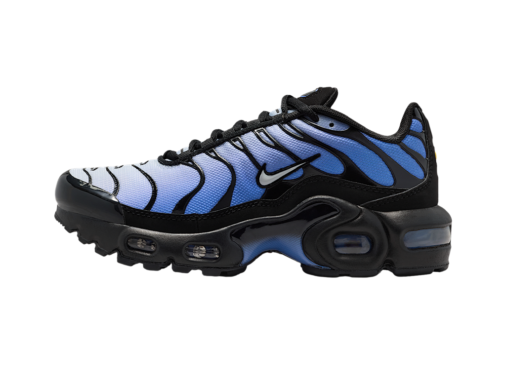 Nike Air Max Plus GS Black Sapphire-Nike-pikastore.cz