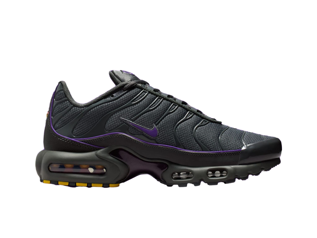 Nike Air Max Plus Iron Grey Wild Grape-Nike-pikastore.cz