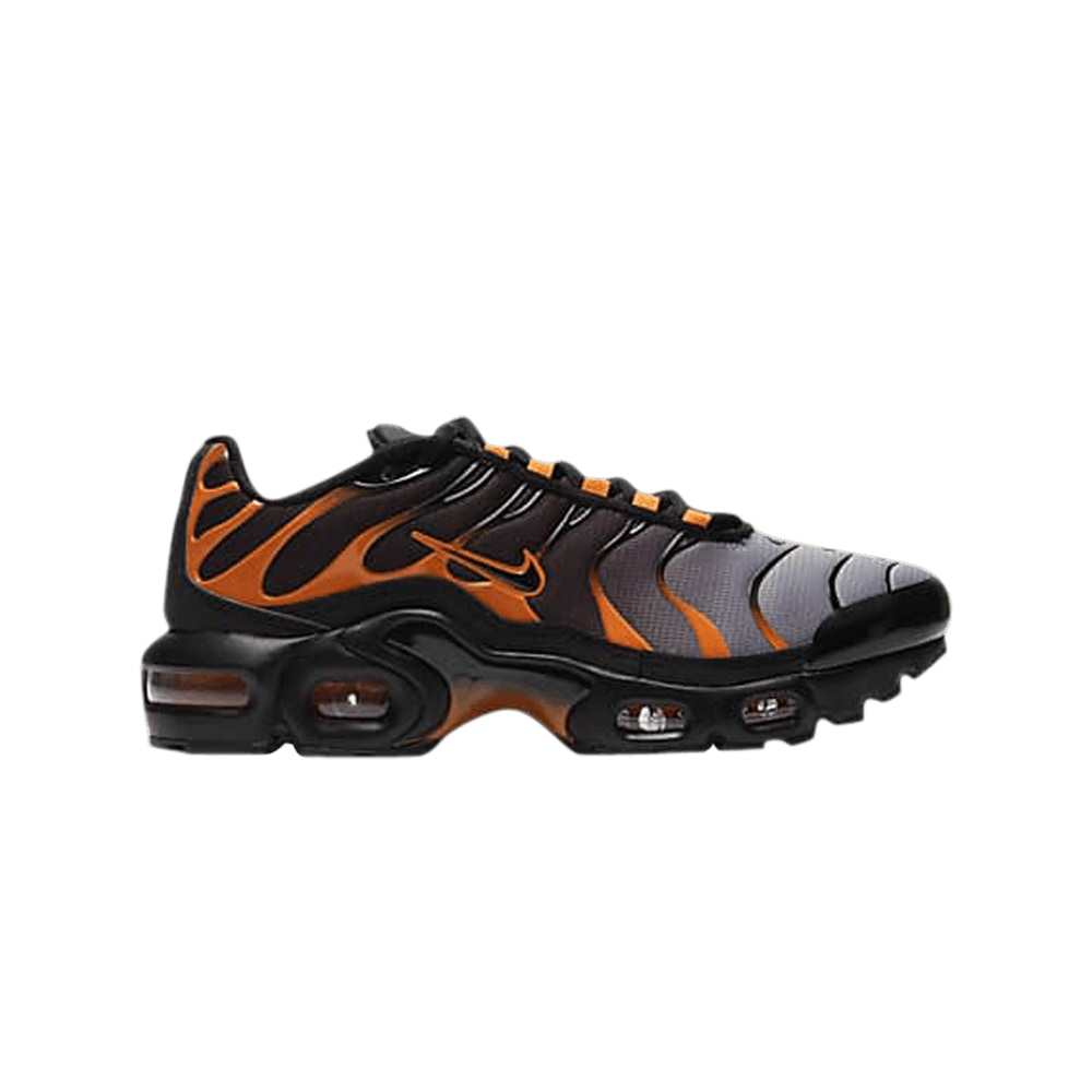 Nike Air Max Plus GS Black Team Orange – tenisice, smeđa