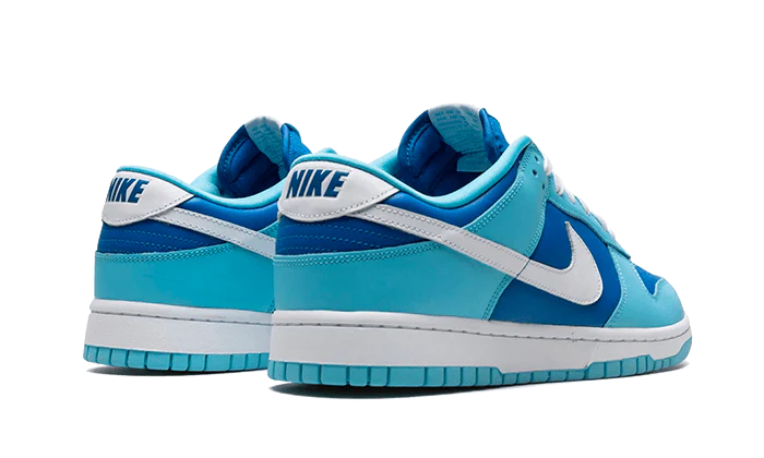 Nike Dunk Low Retro QS Argon (2022)-sneakers-Nike-pikastore.cz