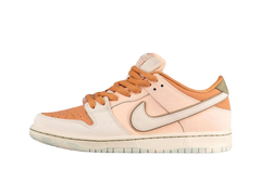 Nike Dunk Low SB Trocadéro Gardens