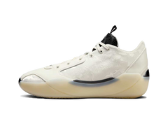 Nike Air Jordan 39 No Alteration