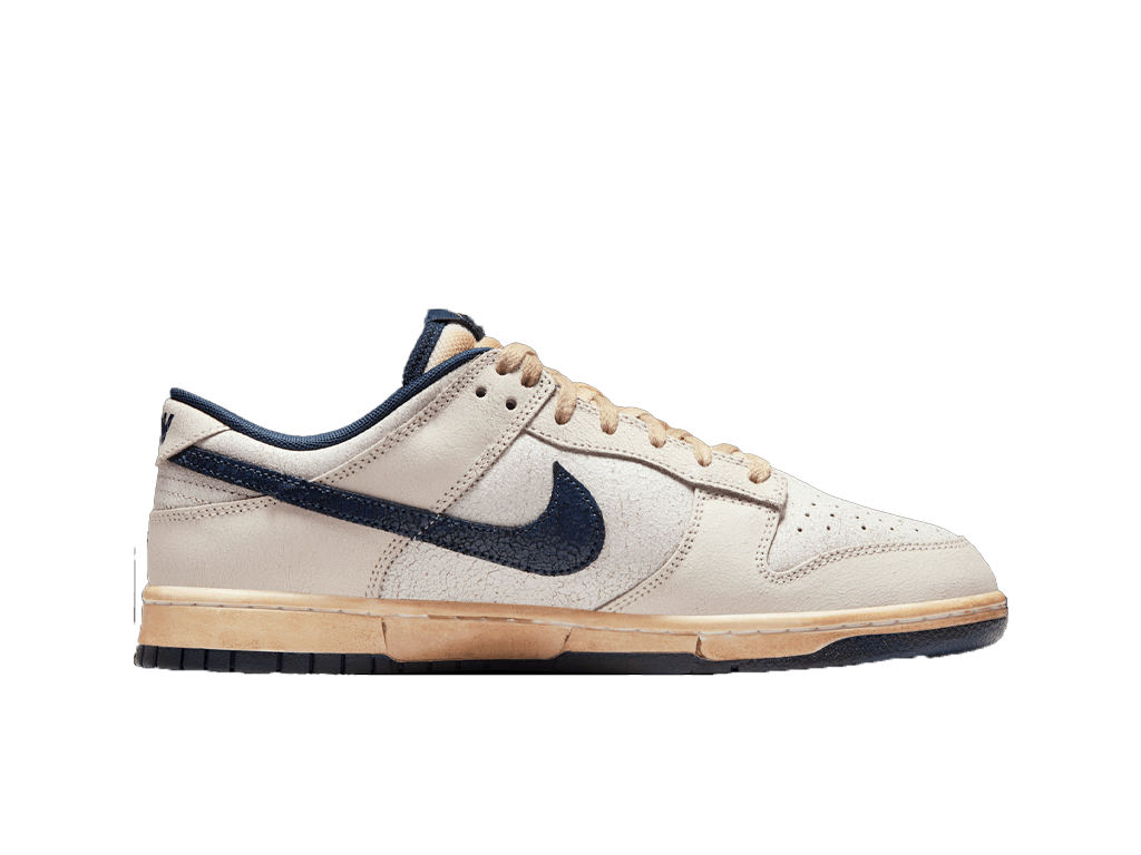 Nike Dunk Low Stranger Things Phantom-Nike-pikastore.cz