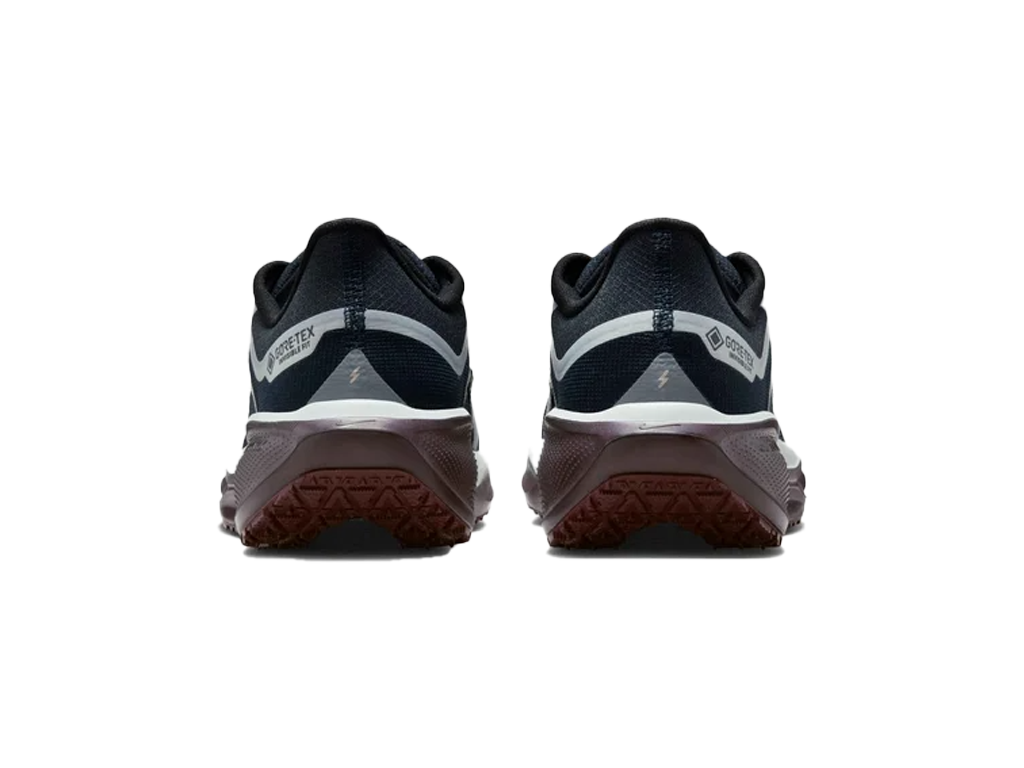 Nike Wmns Air Zoom Pegasus 41 GORE-TEX Dark Obsidian Anthracite Pure Platinum – sportcipő – fotó 4/5