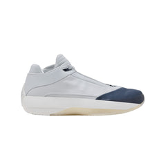 Air Jordan 40 Photon Dust