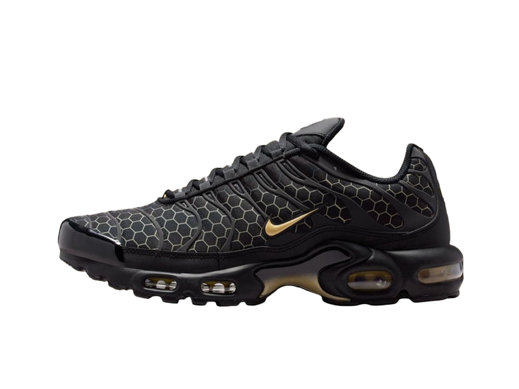 Nike Air Max Plus Black Honey (GS)